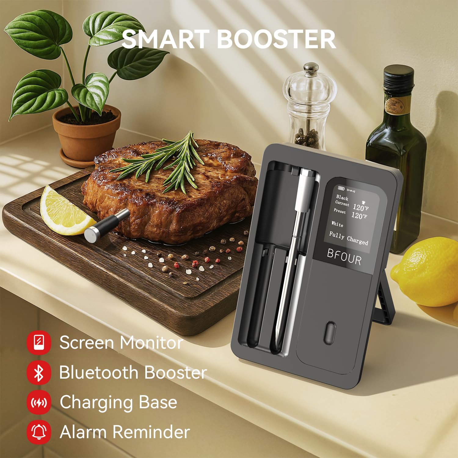 Kitchen Appliances Video - Kablosuz Et Termometresi Bluetooth Su Geçirmez